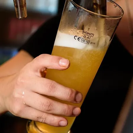 假日公园 地平线乡村度假酒店 3*